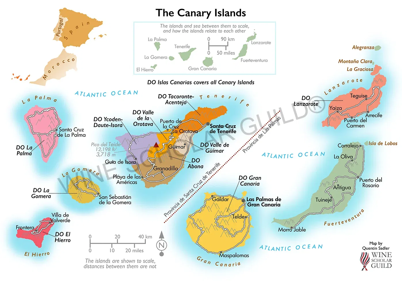Canary Islands Wine Map by Wine Scholar Guild Canary Islands wine map highlighting volcanic vineyards and DO appellations including Lanzarote, Tenerife (Tacoronte-Acentejo), and Gran Canaria.