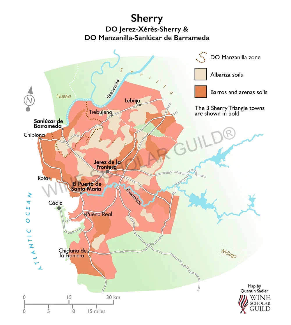 Sherry Wine Map (PDOs) by Wine Scholar Guild Sherry wine map showing vineyards and production zones for Jerez-Xérès-Sherry, Manzanilla Sanlúcar de Barrameda, and related PDOs.