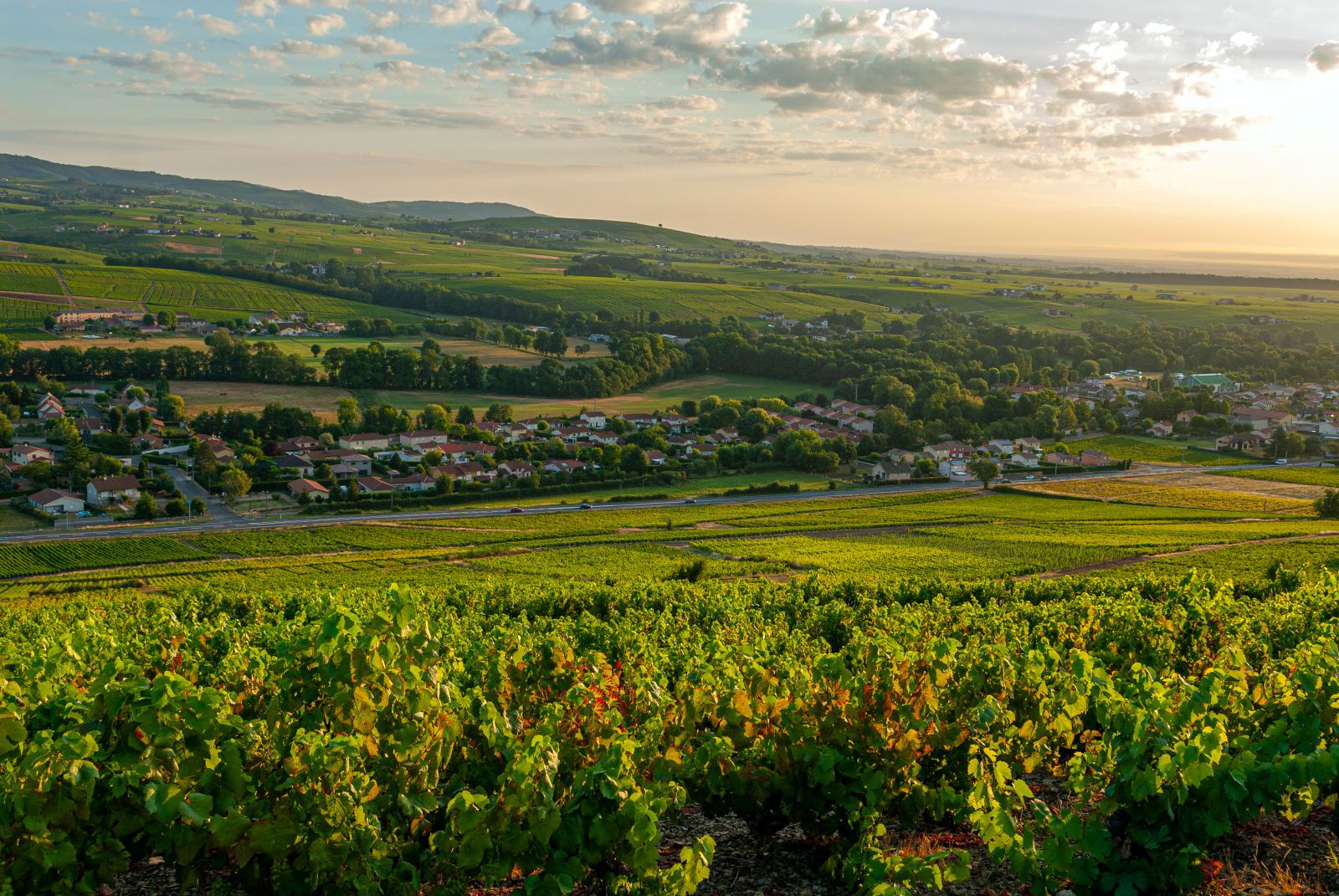 Domaine de la Grosse Pierre