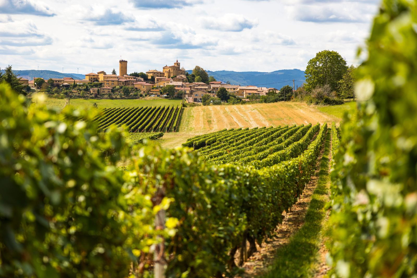 Domaine Jean Foillard