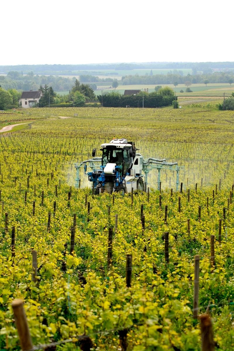 Domaine Comte Senard 