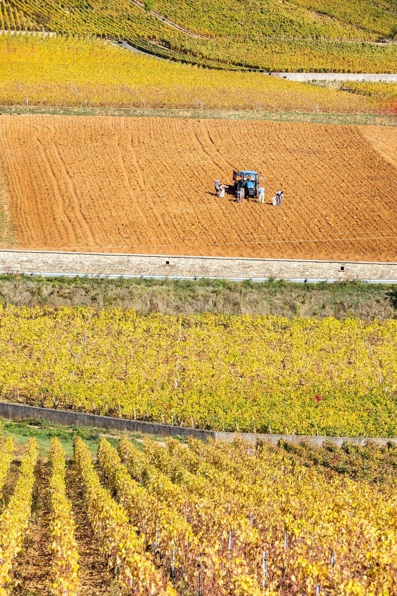 Domaine Chevrot 