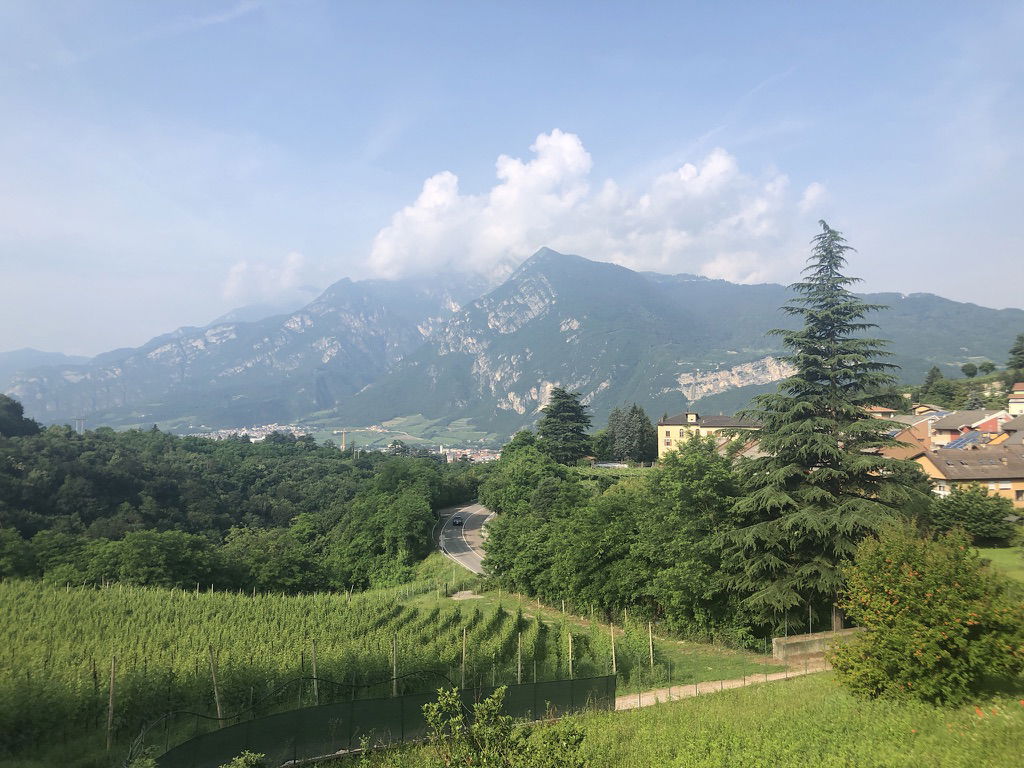 High-elevation vineyards of Blanc de Morgex et de La Salle near Mont Blanc, among Europe’s highest commercial sites.