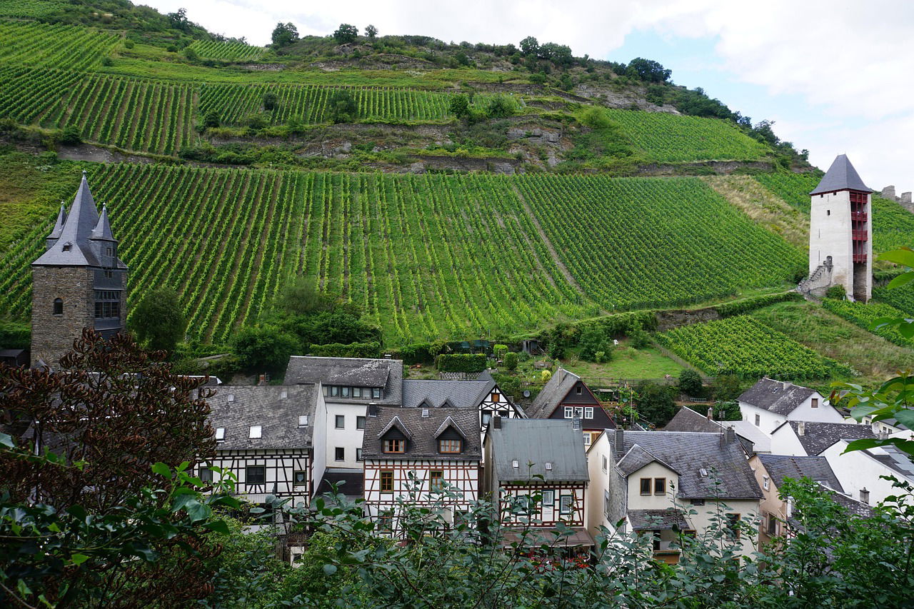 Mittelrhein