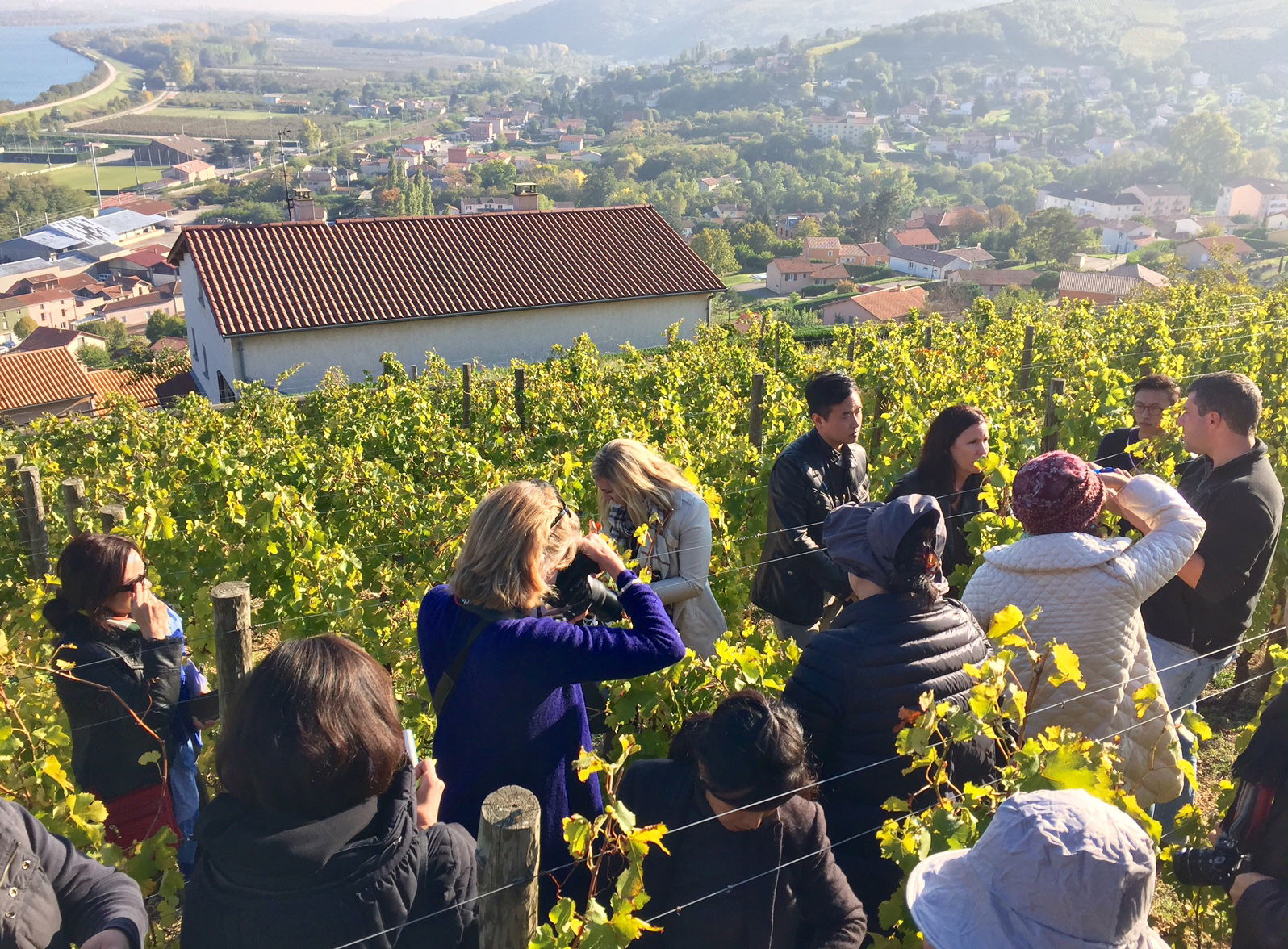 Memories from our 2015 Rhône wine study trip with Andrew Jefford!