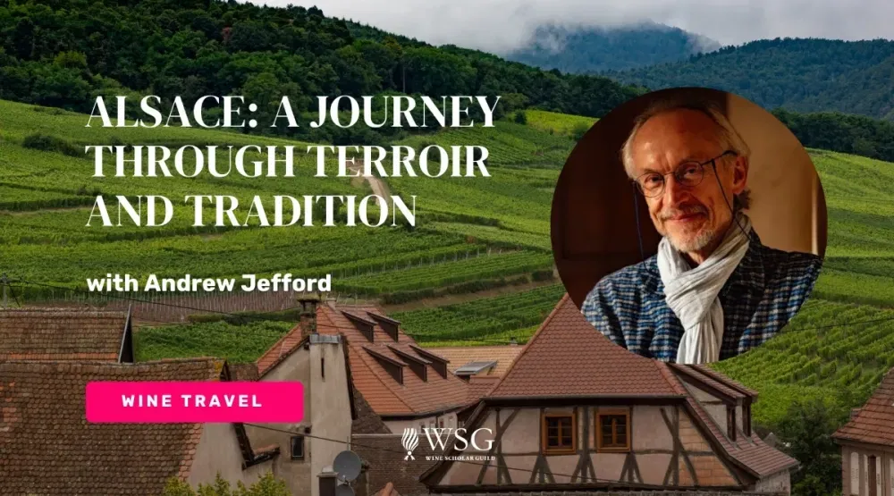 Alsace: A Journey Through Terroir and Tradition