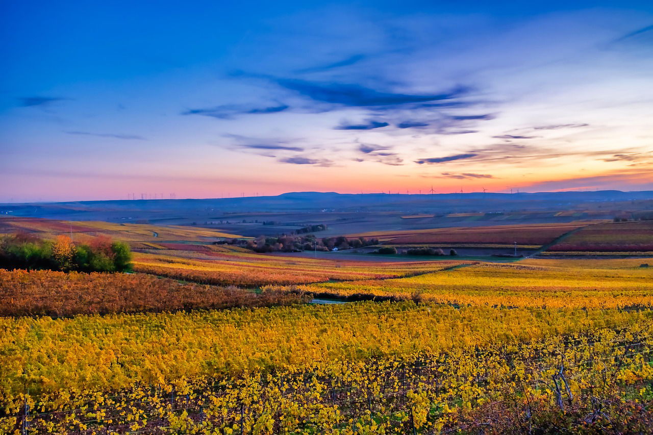 Rheinhessen