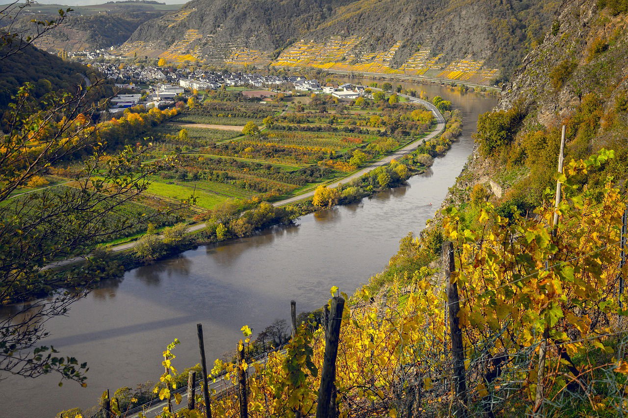 Mosel