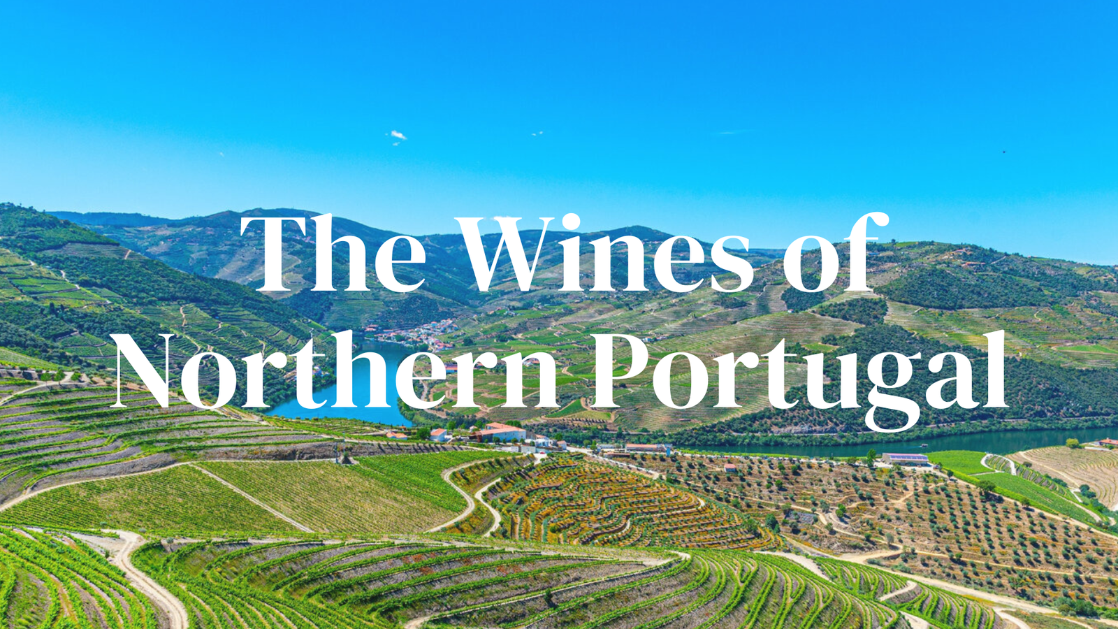 Take a Virtual Tour of Northern Portugal