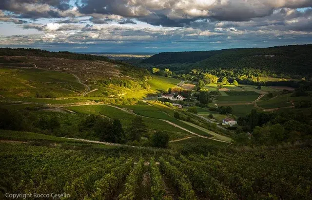 Domaine Michel Lafarge in Volnay