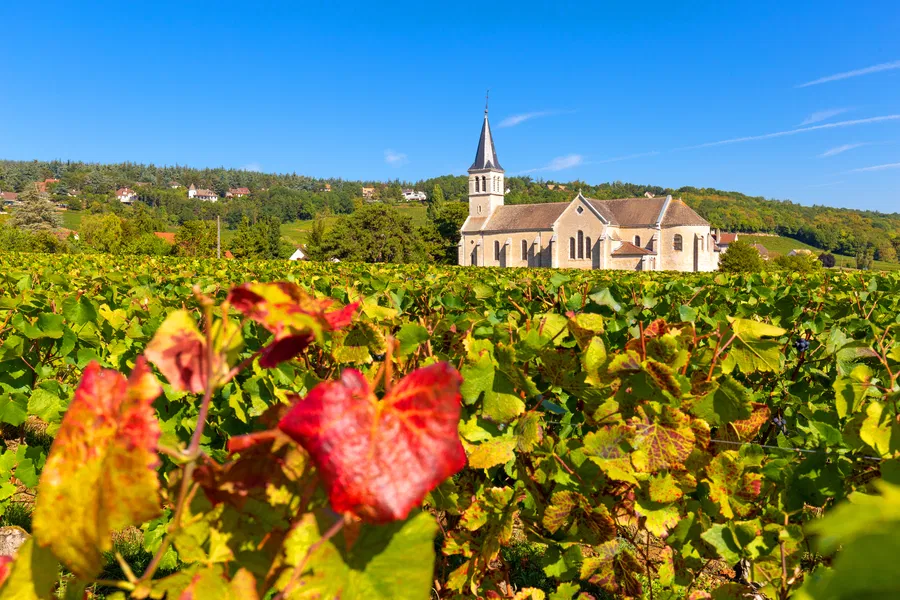 Cellier aux Moines in Givry