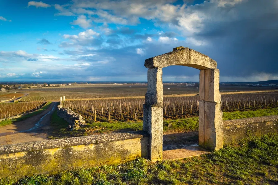 Domaine Leflaive in Puligny-Montrachet