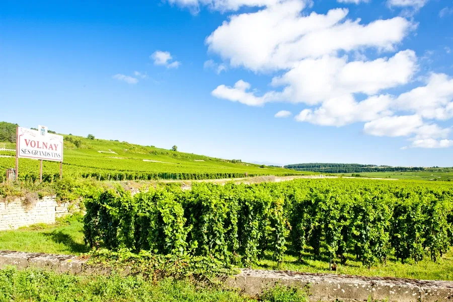 Domaine Michel Lafarge in Volnay