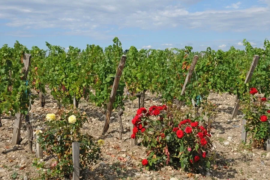 2nd Grand Cru Classé Château Léoville Barton