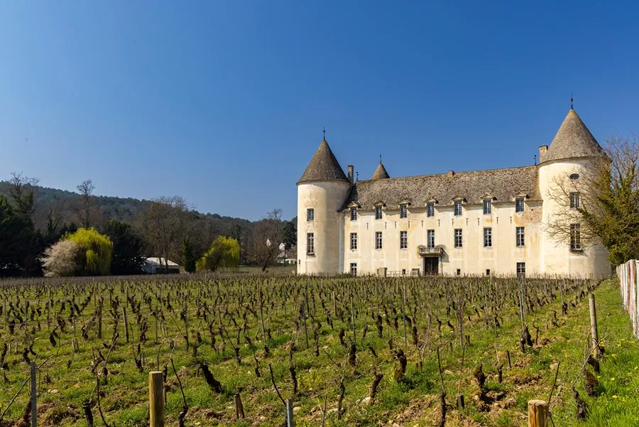 Domaine Chandon de Briailles, Savigny-lès-Beaune