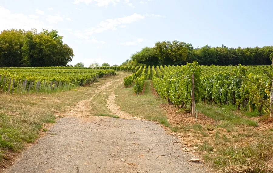 Domaine de Bongran, Quintaine/Clessé