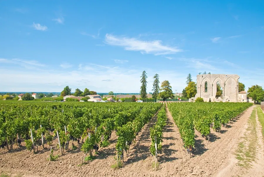 1st Grand Cru Classé Château Figeac