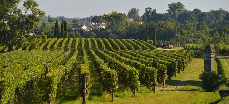 Château La Fleur-Pétrus