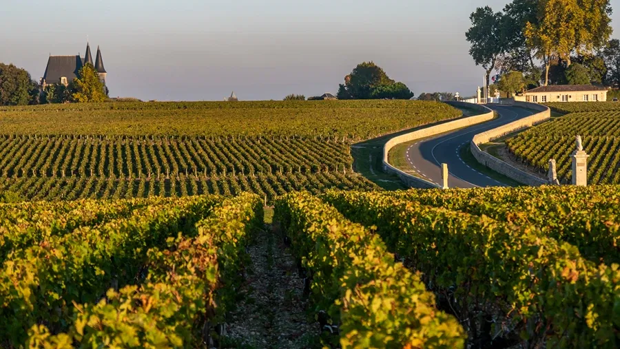 Classified Growth Château Haut Bailly