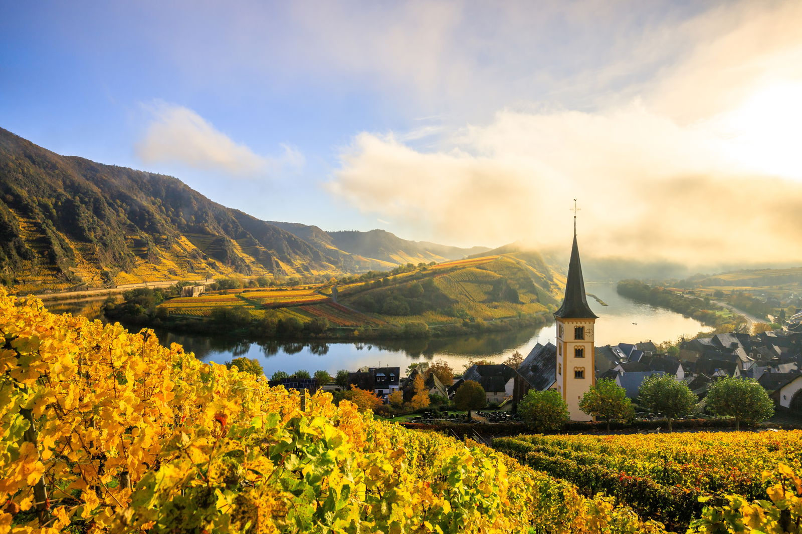 Wines of Mosel