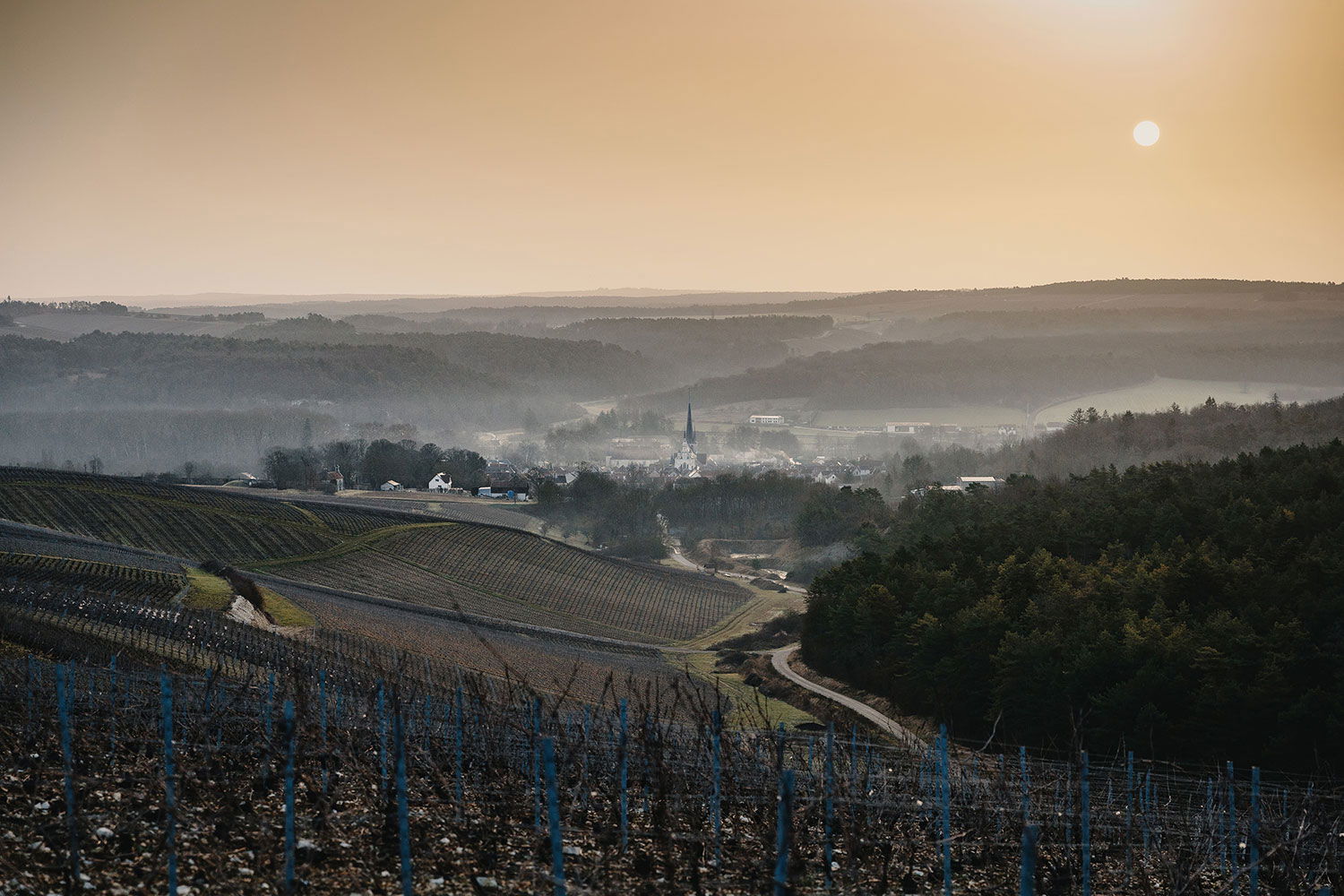 Domaine Alexandre Bonnet