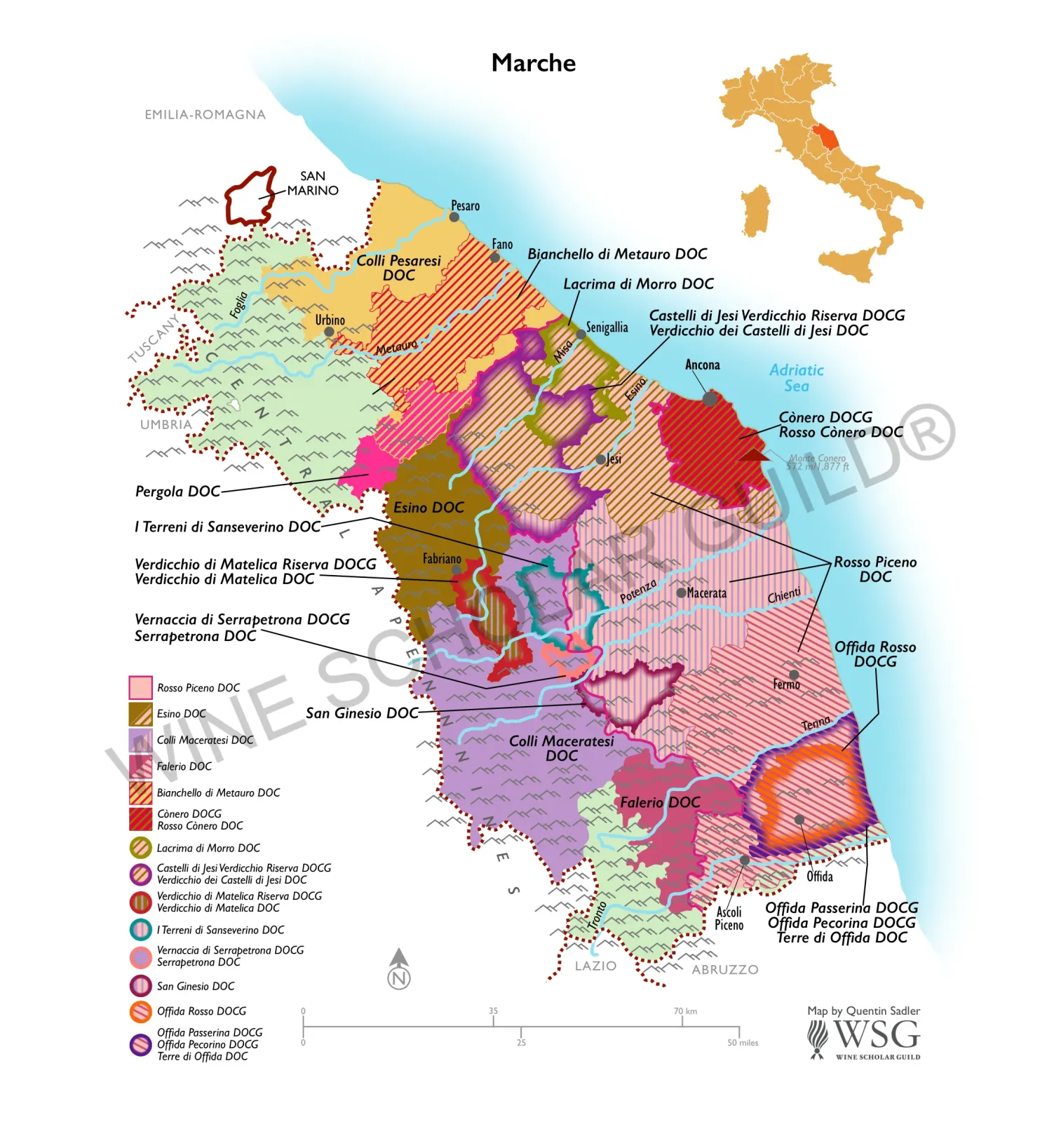 Marche Wine Map by Wine Scholar Guild Marche wine map featuring appellations including Verdicchio dei Castelli di Jesi, Rosso Conero, and Offida.