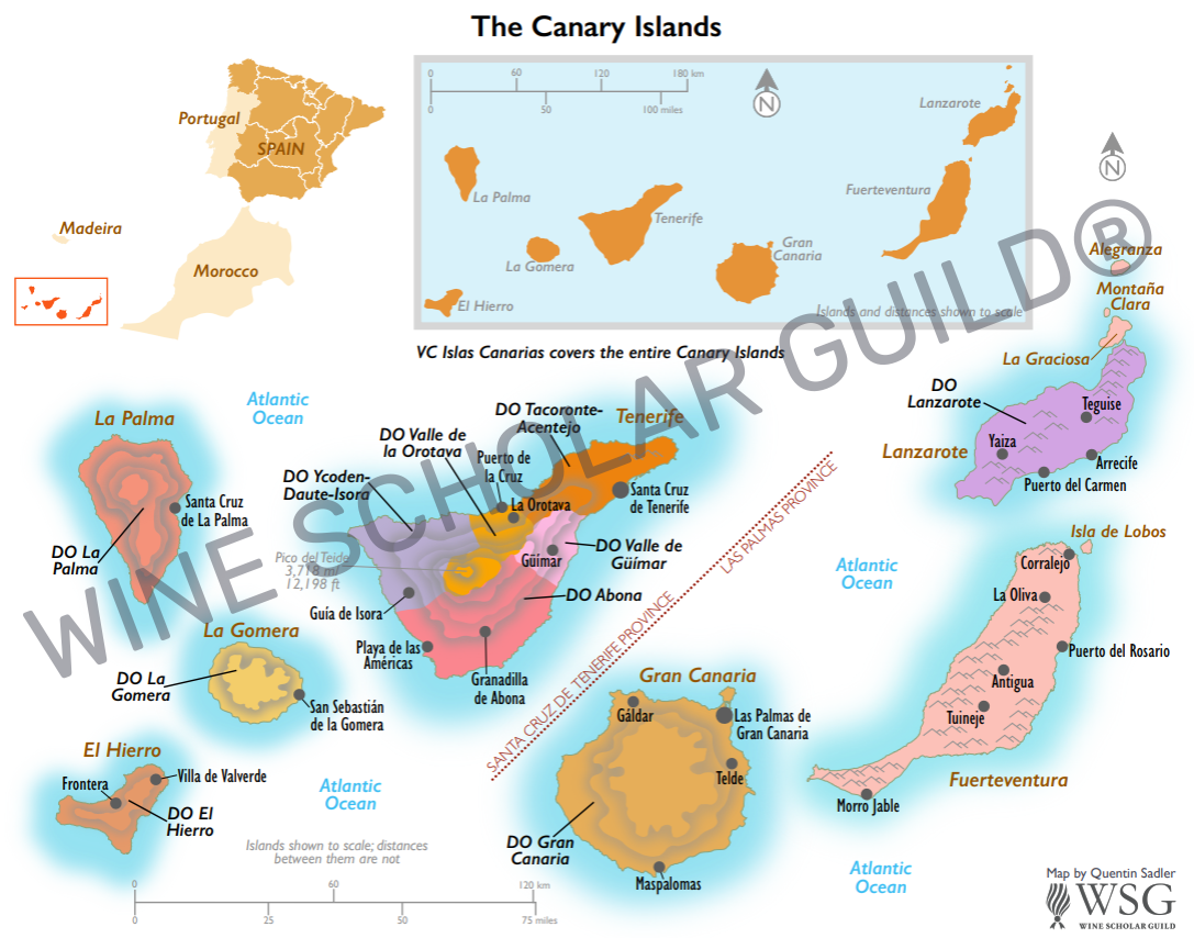 Canary Islands Wine Map by Wine Scholar Guild Canary Islands wine map highlighting volcanic vineyards and DO appellations including Lanzarote, Tenerife (Tacoronte-Acentejo) and Gran Canaria.