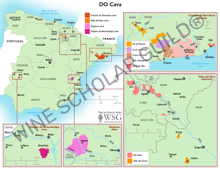Cava Spain Wine Map by Wine Scholar Guild Cava wine map highlighting vineyards and DO zones.