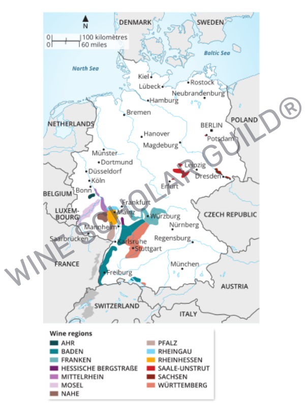 Wine maps of Southern Italy featuring vineyards and appellations in Campania, Calabria, Sicily, Sardinia, Basilicata, and Puglia.