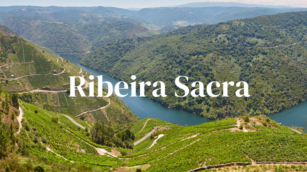 Ribeira Sacra: Heroic Viticulture from the Slopes of Galicia 