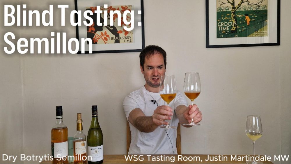 Blind Tasting: Aged Semillon/Sémillon