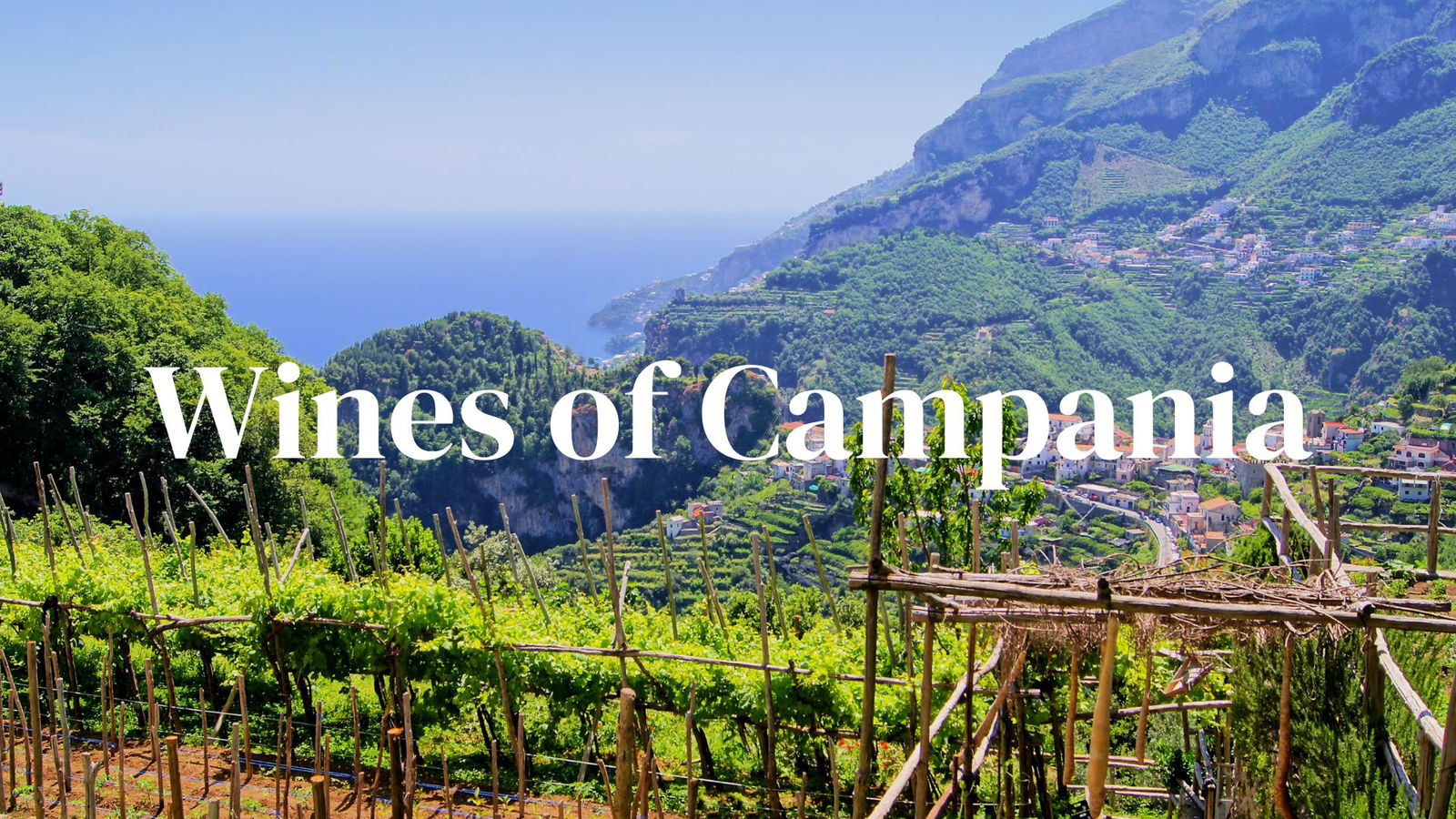 Wines of Campania