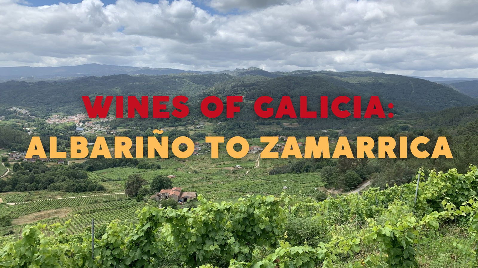 The Wines of Galicia: Exploring Green Spain from Albariño to Zamarrica