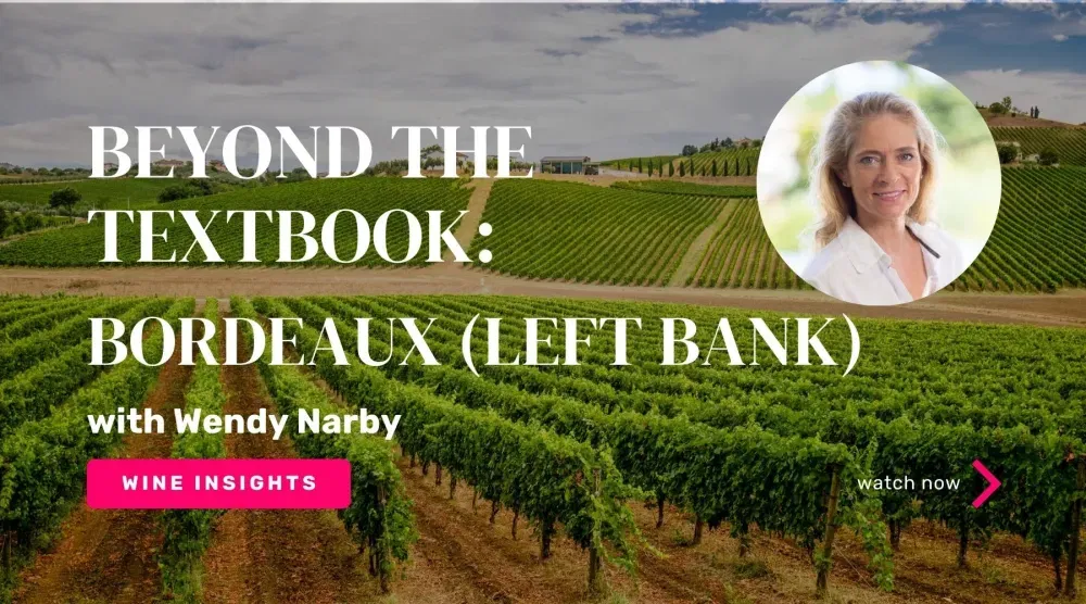 Beyond The Texbook: Bordeaux (Left Bank)