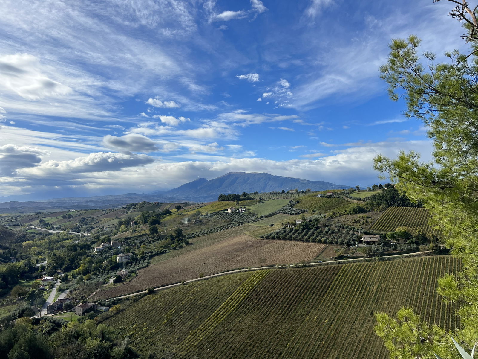 Looking toward the Sibillini Mountains from the town of Offida, Andrea Eby