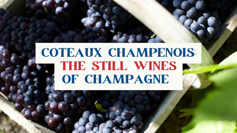 Coteaux Champenois: The Still Wines of Champagne