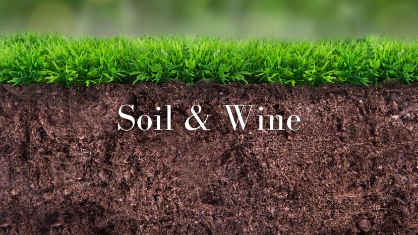 Soil and Wine: What do we really know with Roger Bohmrich MW