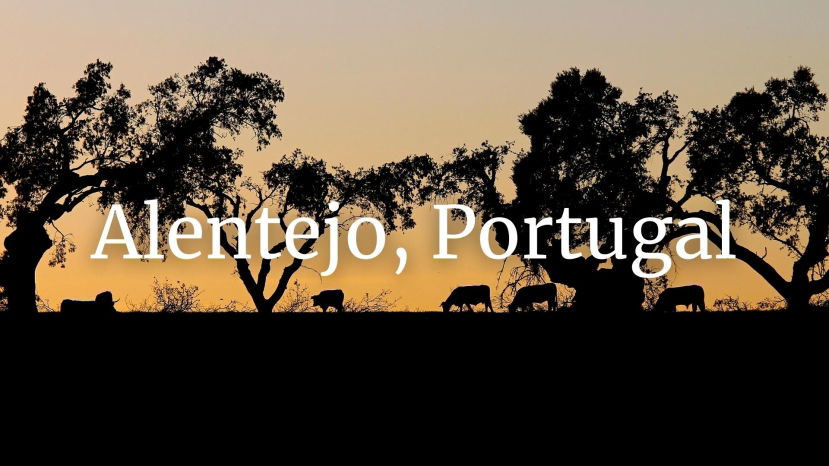 Of Dusty Plains, Mountains and the Atlantic: the wines of Alentejo, Portugal with Simon J. Woolf