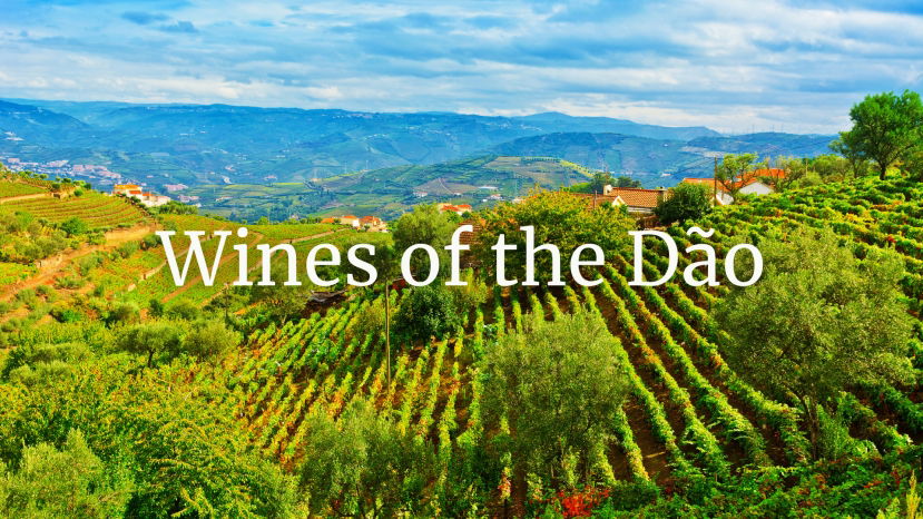 Wines of the Dão – a land of ancient vineyards, mountains and classical reds by Simon Woolf