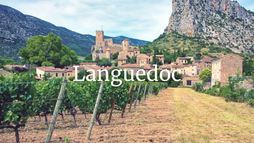 Languedoc in the 21st century with Rosemary George MW