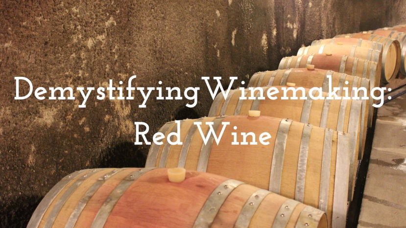 Demystifying Winemaking: Part 2 - Reds with Nova Cadamatre, MW