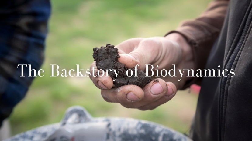 It&#039;s the Nitrogen, of course! The Backstory of Biodynamics with Romana Echensperger, MW