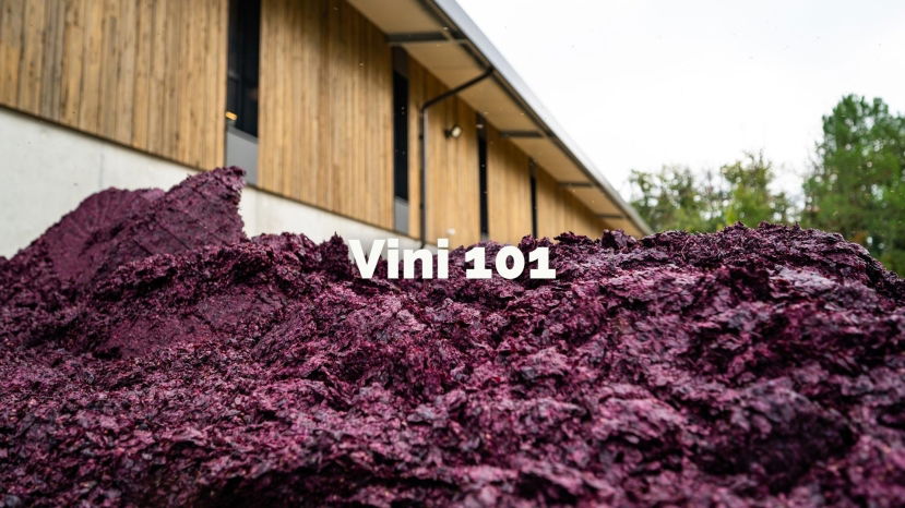 Vini 101: An Introduction to Vinification with Tracy Kamens