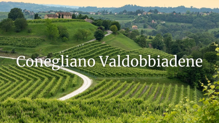 Conegliano Valdobbiadene Who’s Who with Alan Tardi