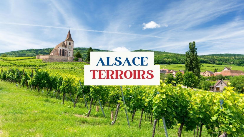 Alsace Terroirs with Olivier Humbrecht MW