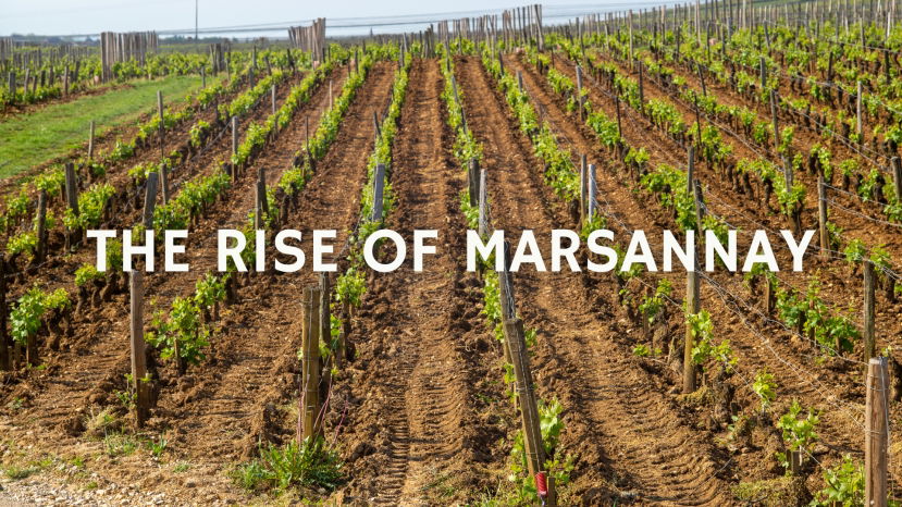 The Rise of Marsannay with Christy Canterbury MW