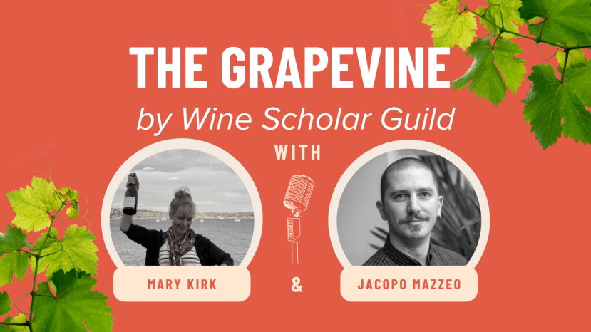 The Grapevine Podcast: Episode 3 - July 2023