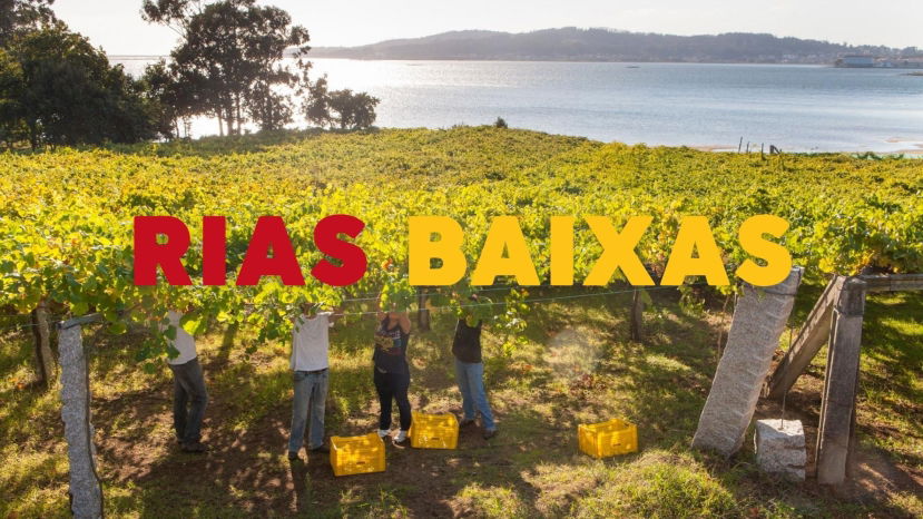 Rias Baixas: at the Western Limits of Europe with Elizabeth Gabay, MW