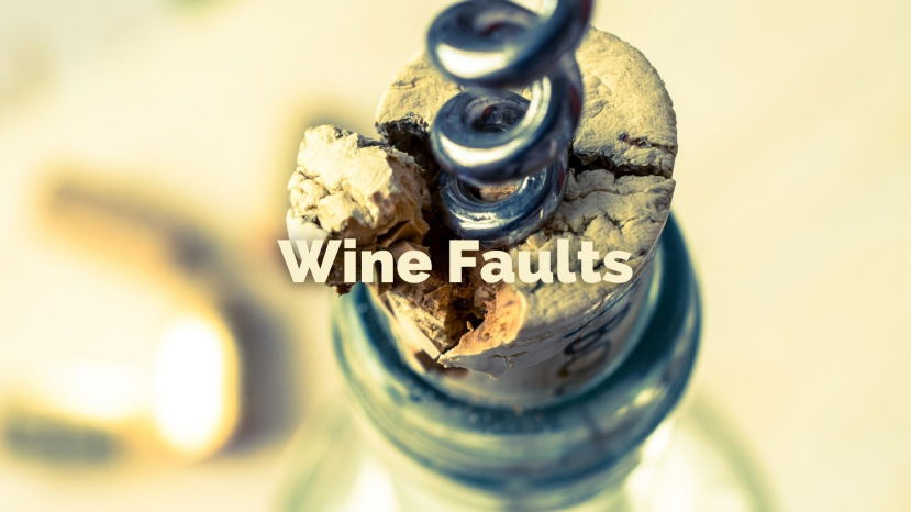 How to Recognize and Teach Wine Faults with Tim Gaiser MS