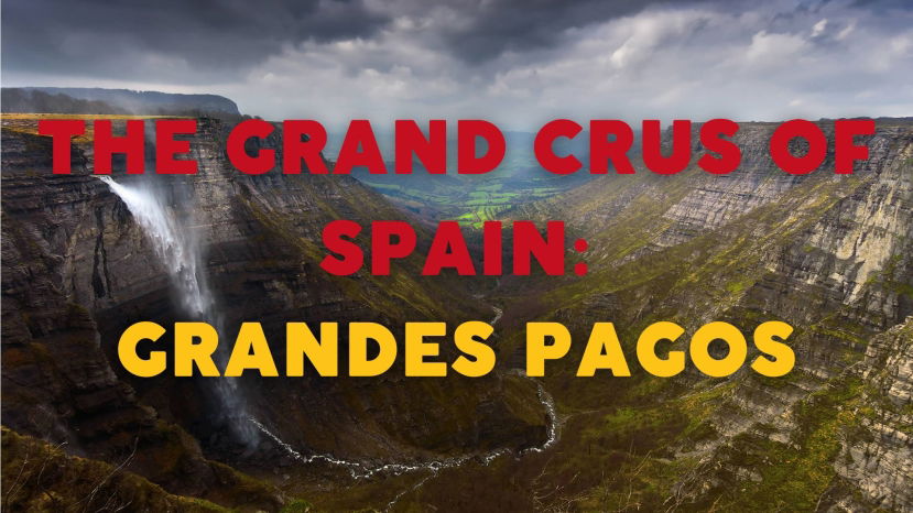 The Grands Crus of Spain: Grandes Pagos de España and the Importance of Terroir